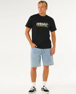 Hawaii Gritty Relaxed Tee