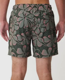 Sessions 16" Volley Boardshort