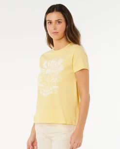 Sun Beams Standard Tee